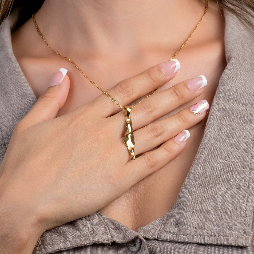 3D Palestine Map outline necklace