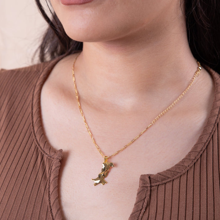 3D Pakistan Map outline necklace
