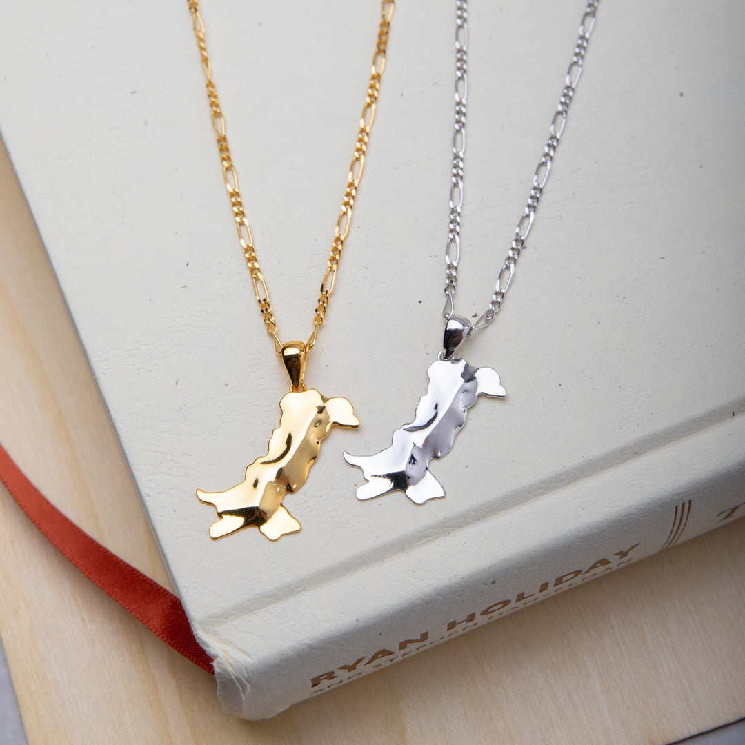 3D Pakistan Map outline necklace